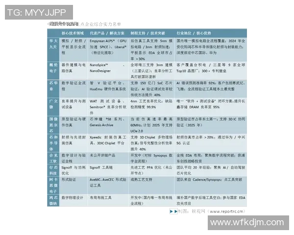 杨静谈和平精英发展历程与未来展望的深度专访