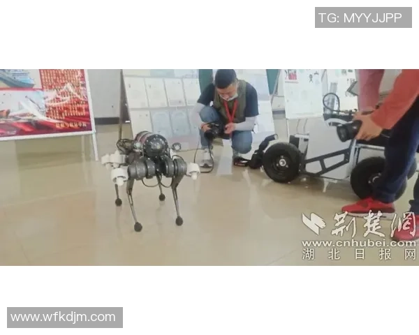 武汉街舞队的速度艺术探索与创新之路解析